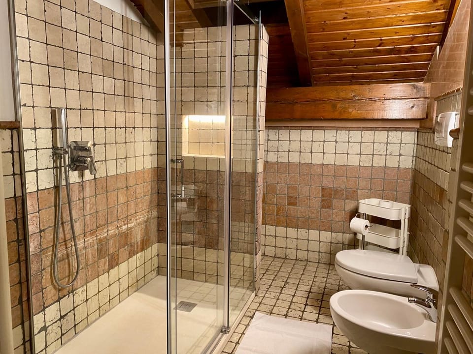 Shower, Toilet, Bathroom, bidet