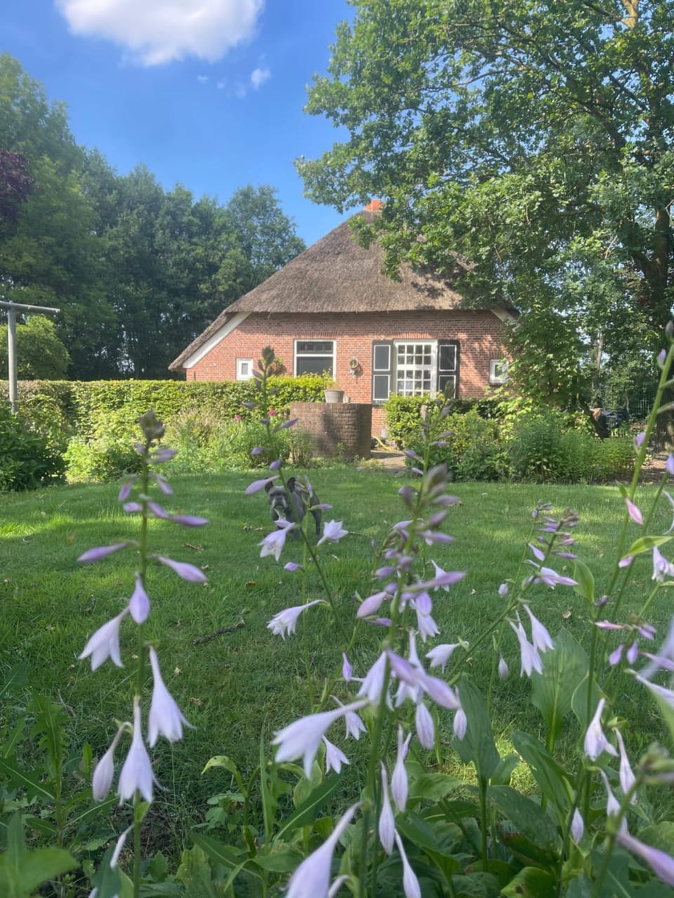 Property building, Spring, Day, Garden, Garden view