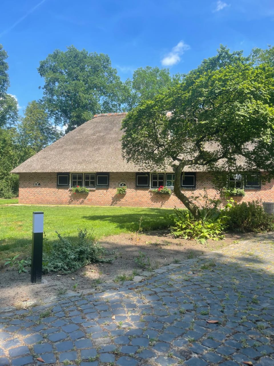 Property building, Garden, Garden view