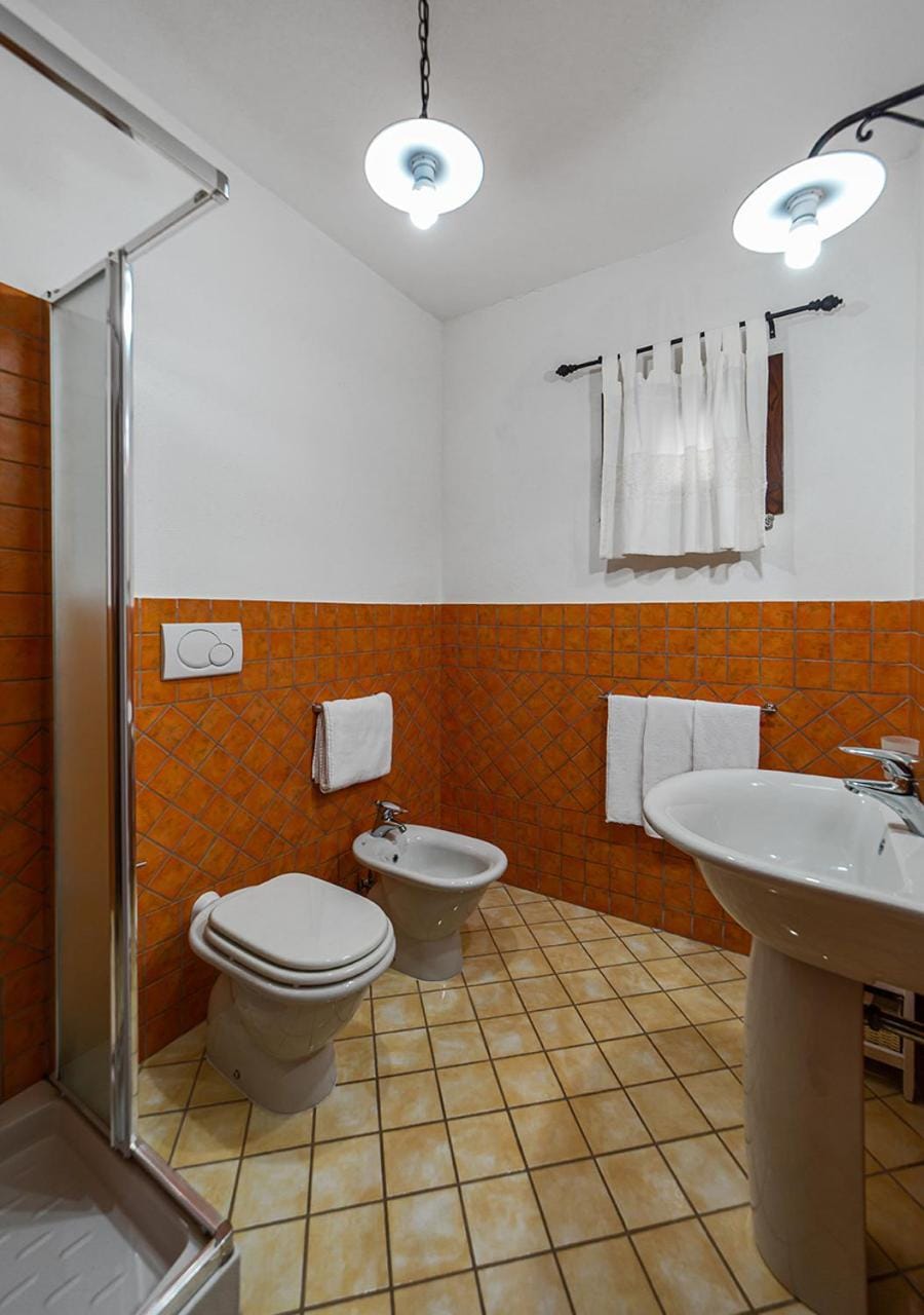 Shower, Toilet, Bathroom, bidet