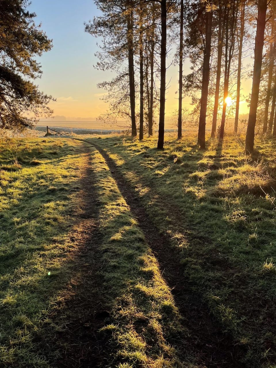 Natural landscape, Sunrise