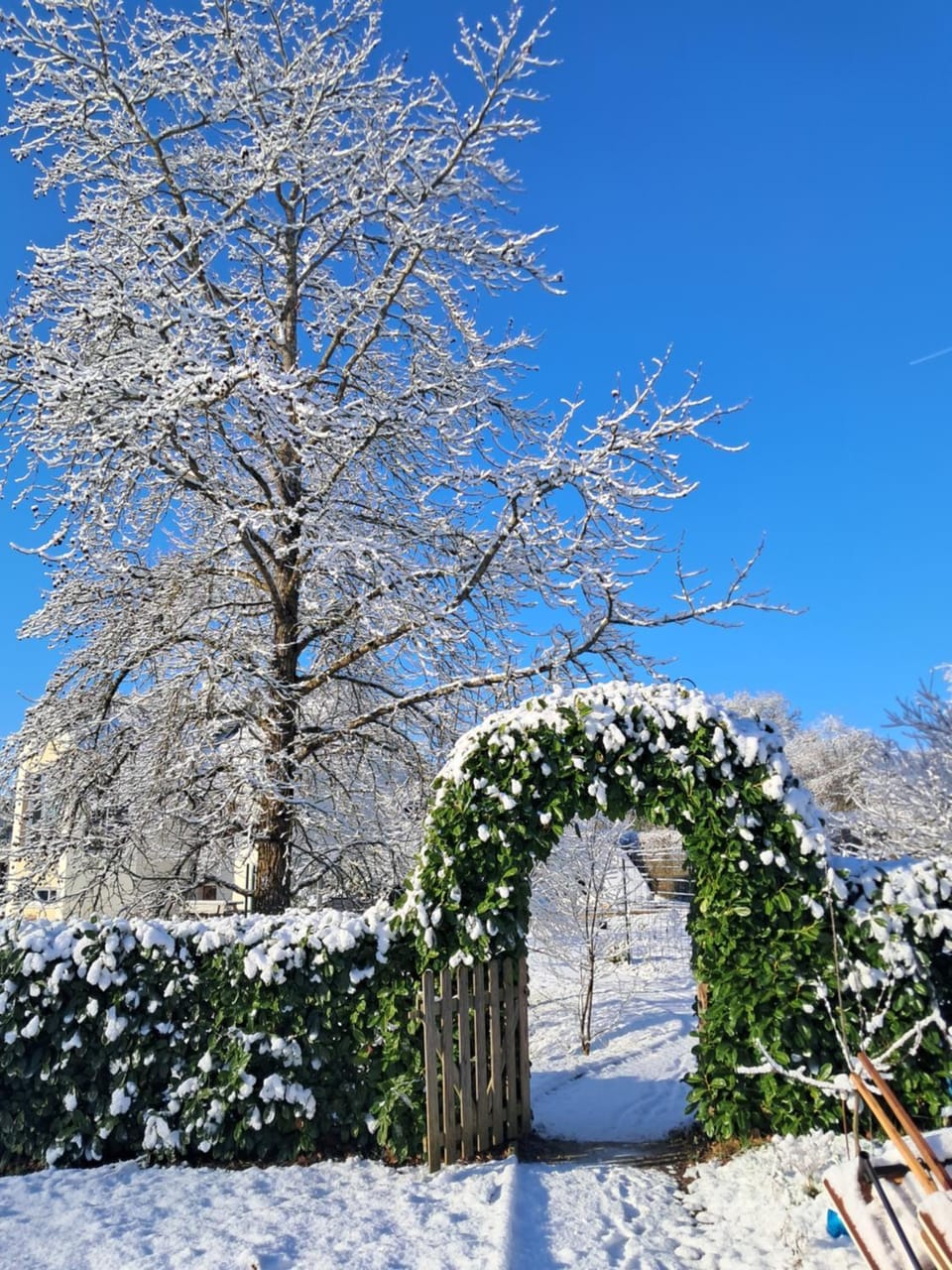 Loge'Mans Bed and Breakfast in Pays de la Loire