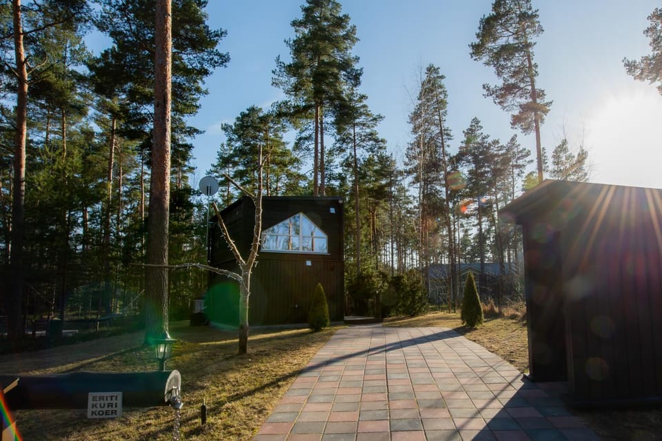 Reiu Holiday Home House in Estonia