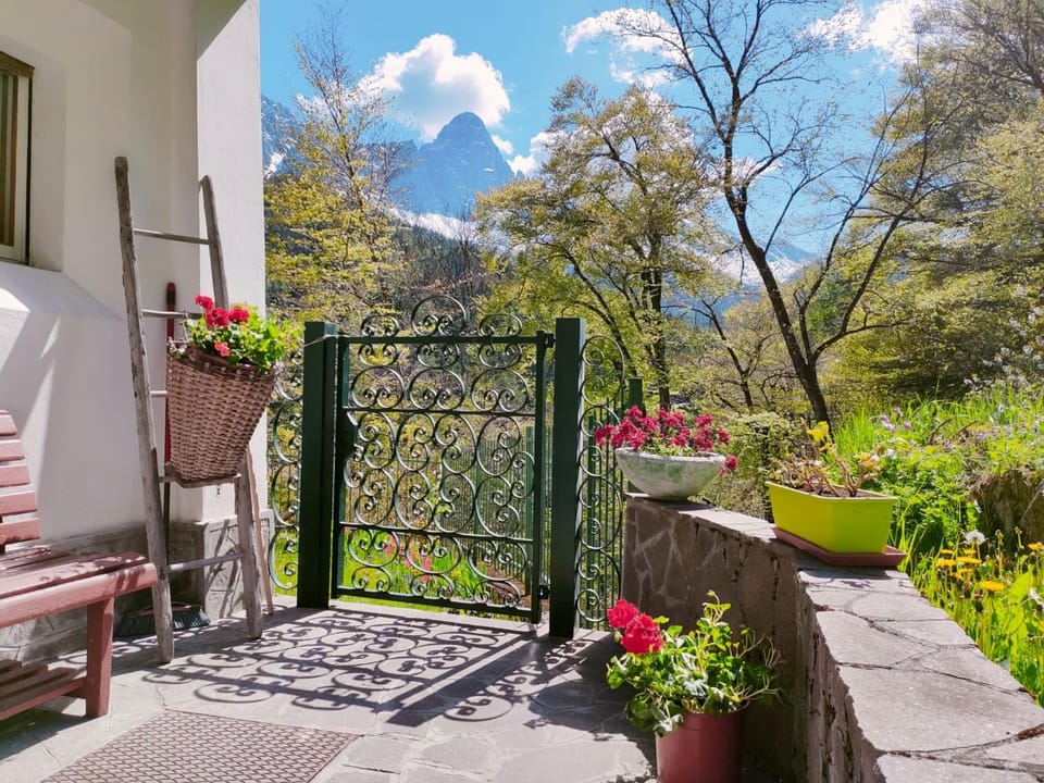 Patio, Natural landscape, Garden, View (from property/room), Garden view