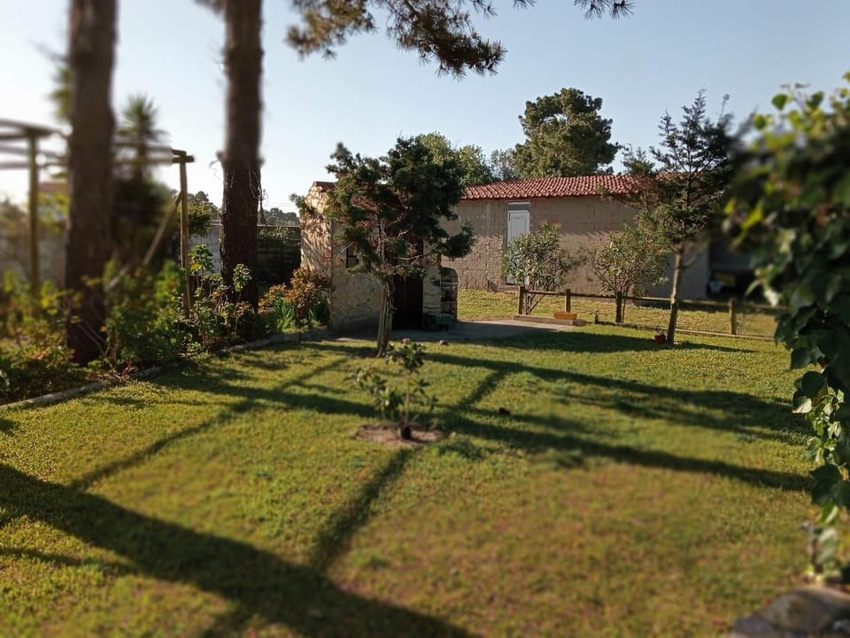 Natural landscape, Garden view