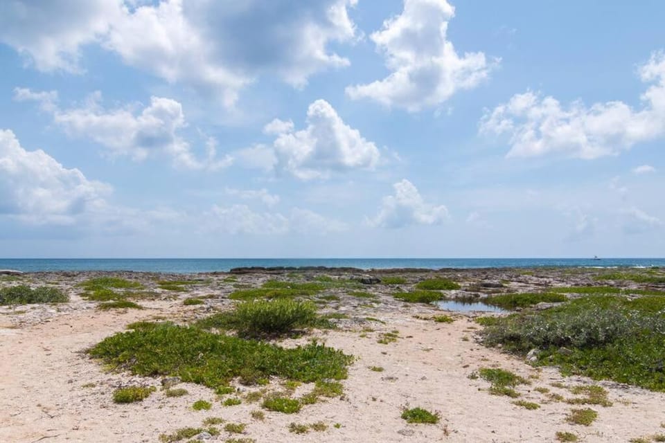Ground level Garden condo at Akumal south by TAO Santamar Apartment in State of Quintana Roo
