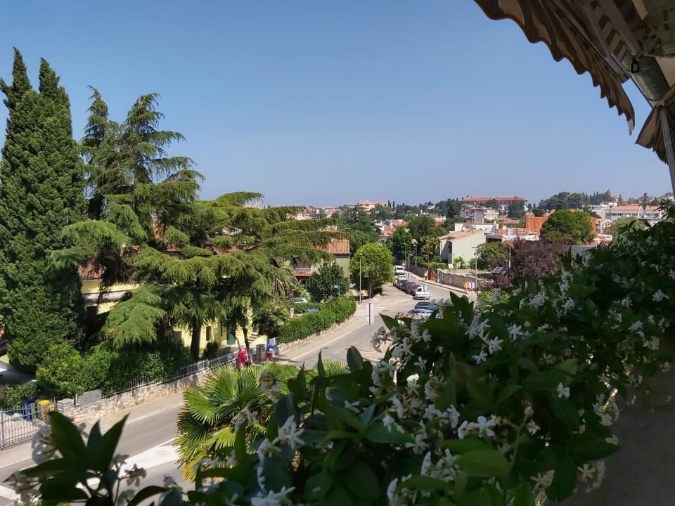 Natural landscape, Balcony/Terrace, City view