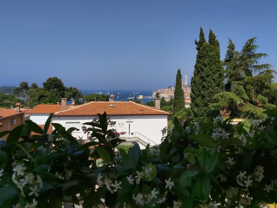 Natural landscape, Balcony/Terrace, City view, Sea view