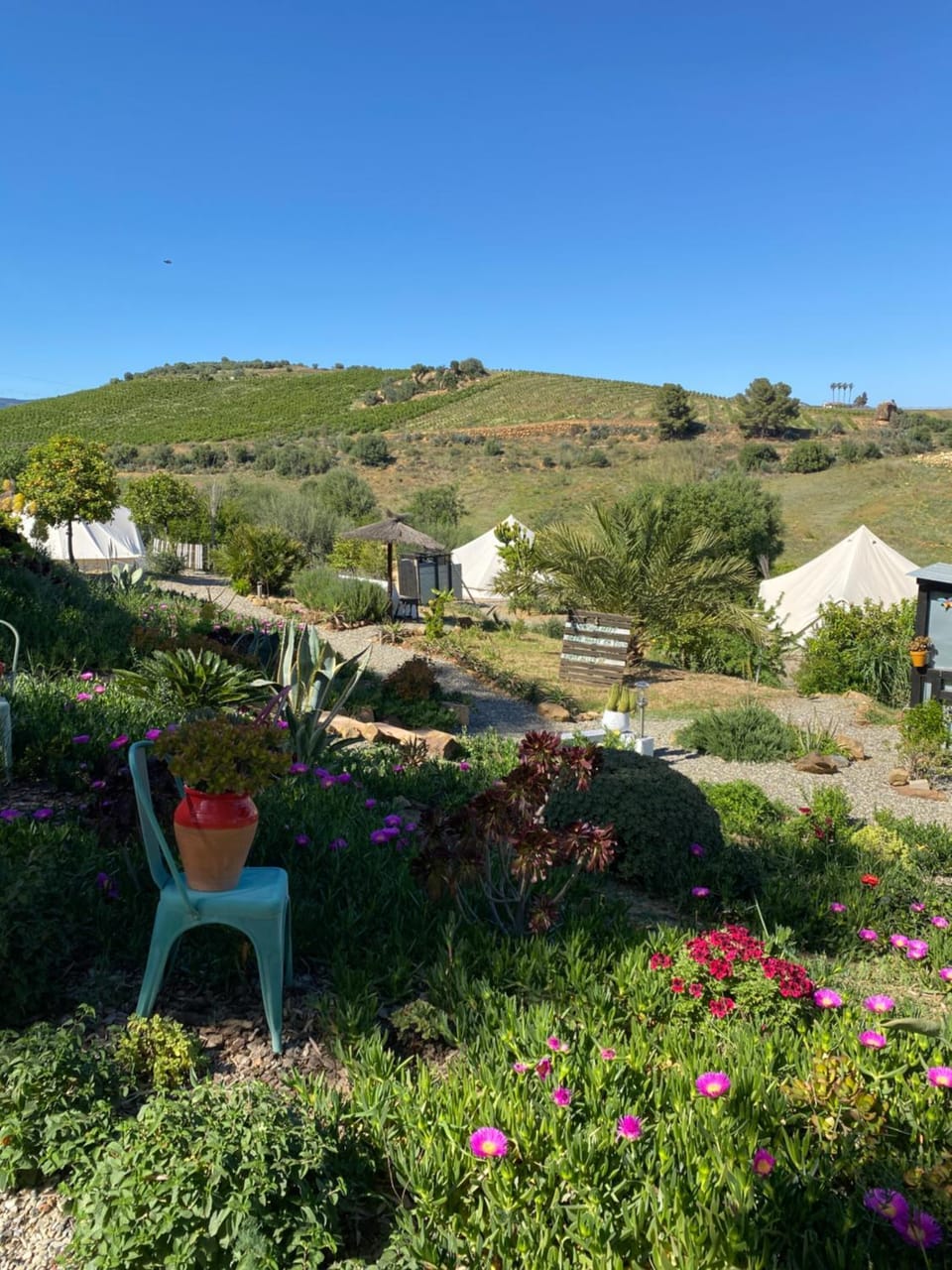 Glamping Bed and Breakfast Finca Alegria de la Vida Luxury tent in Valle del Guadalhorce
