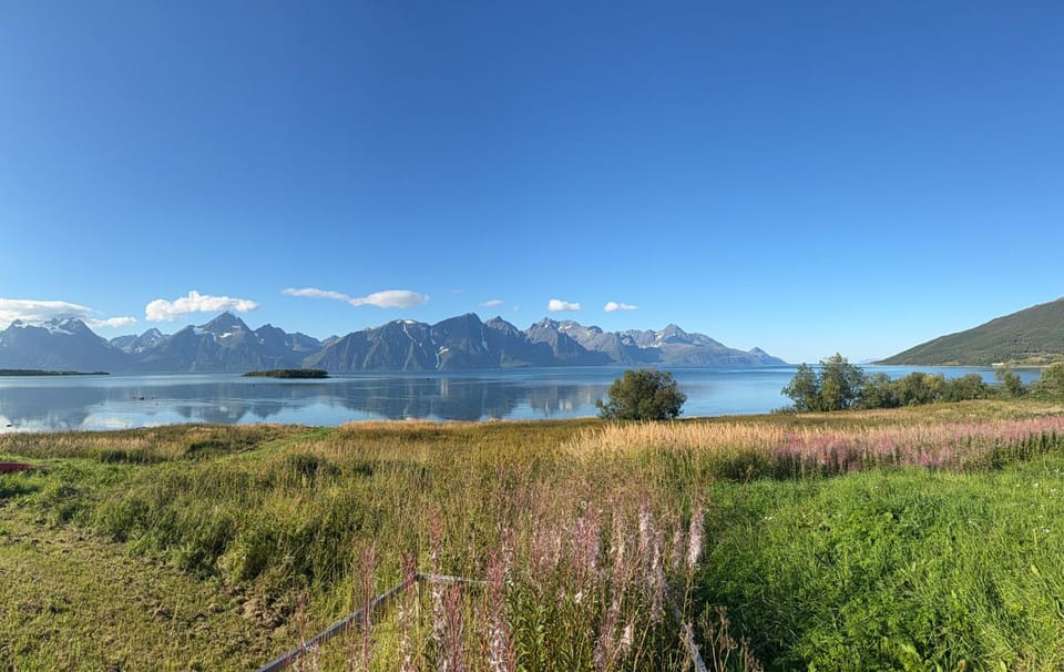 View (from property/room)