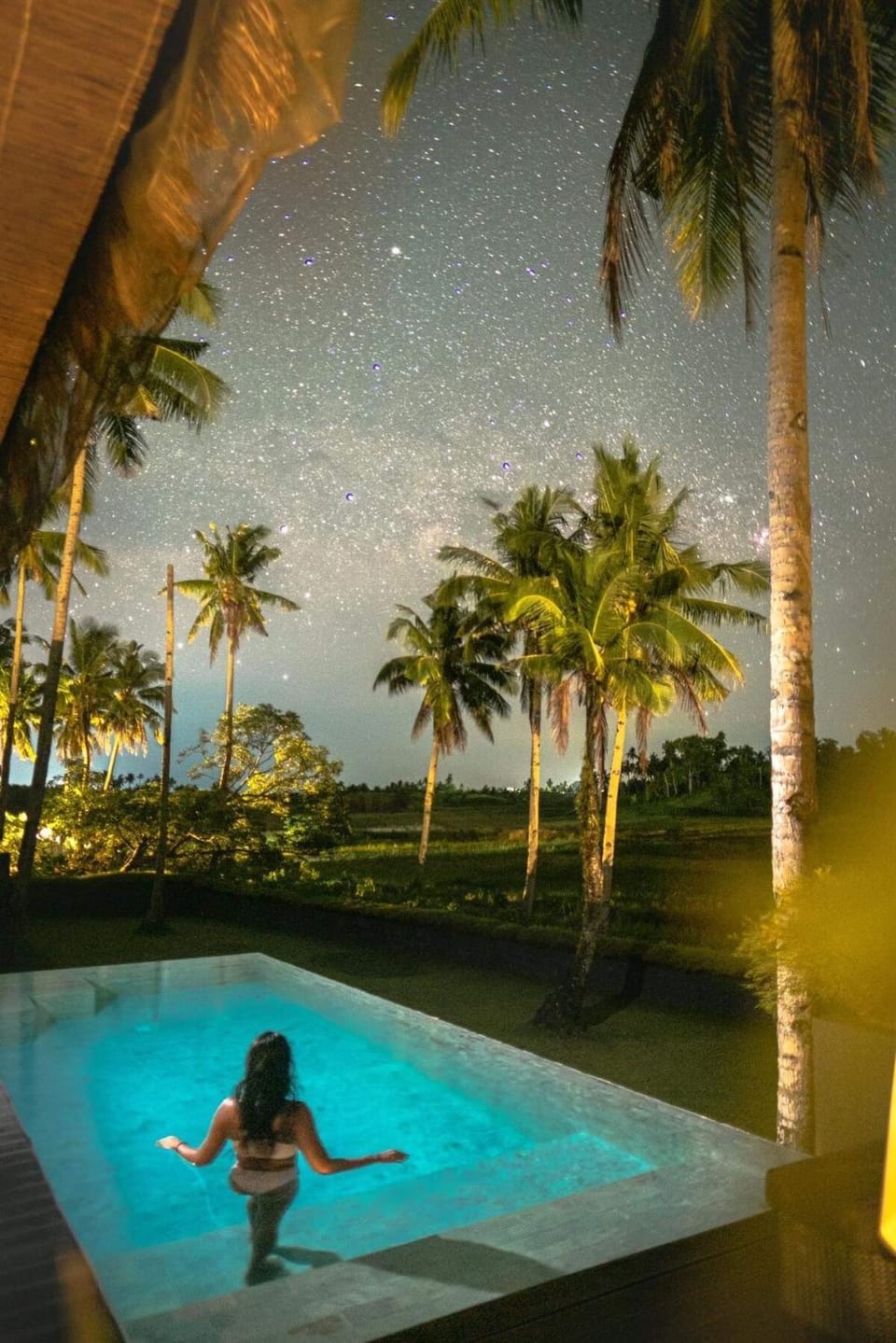 Ricehaven Luxury Villas with Starlink WIFI Villa in General Luna