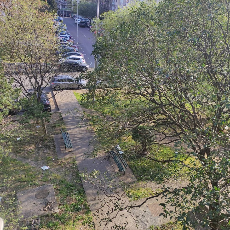 View (from property/room)