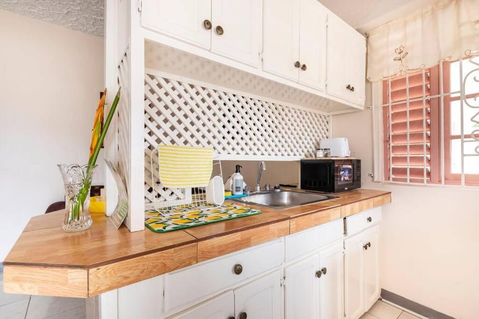 Shaw Park Gem Apt 12A Apartment in Ocho Rios