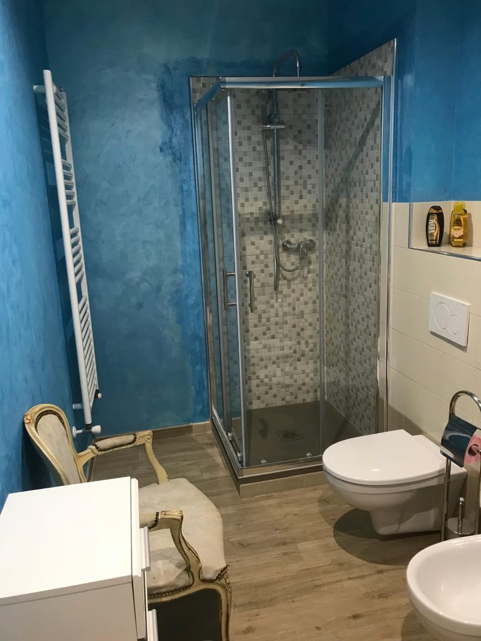Shower, Toilet, Bathroom, bidet, hair dryier, towels