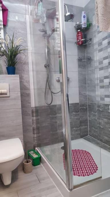 Shower, Toilet, Bathroom, towels