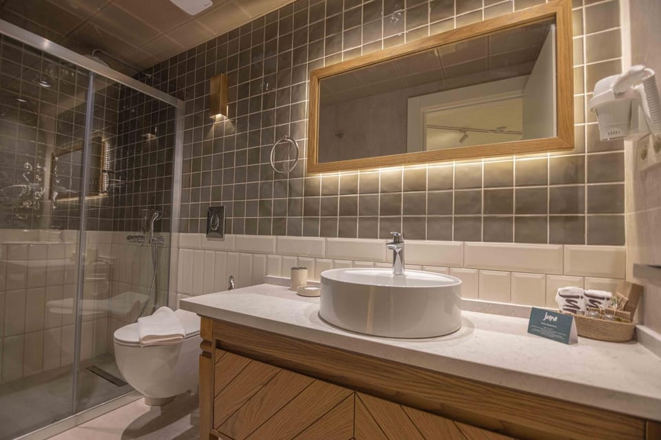 Shower, Toilet, Bathroom, towels
