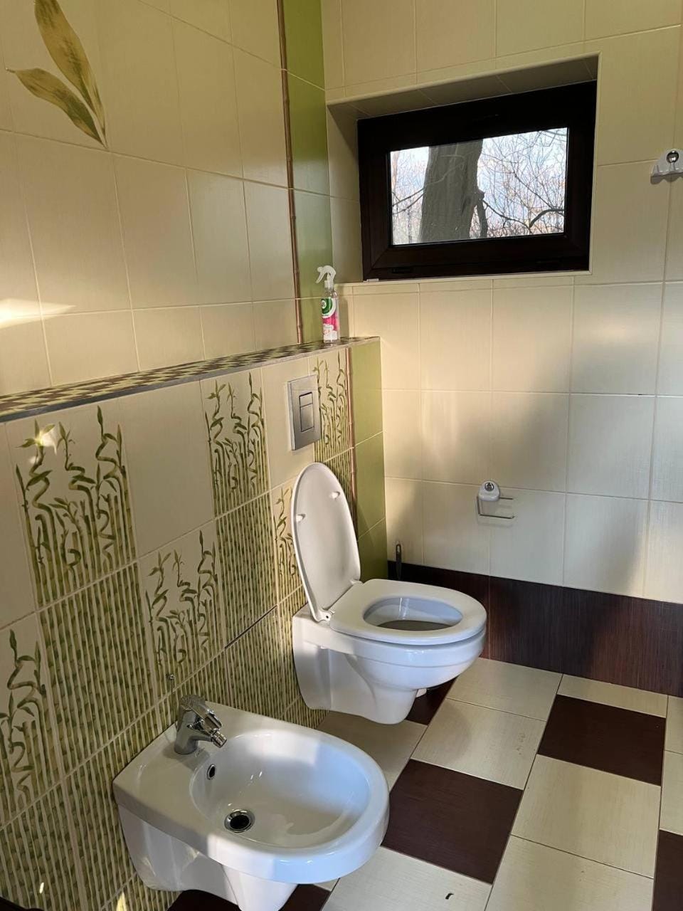 Toilet, bidet