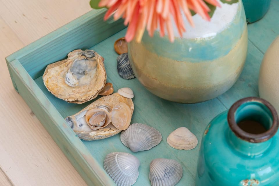 Welcome in - Knusse vakantiewoning met zonnig terras in het gezellige Domburg House in Domburg