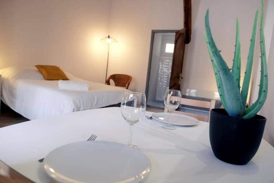 Noa - Mont Piete Studio intramuros - Apartment in Avignon