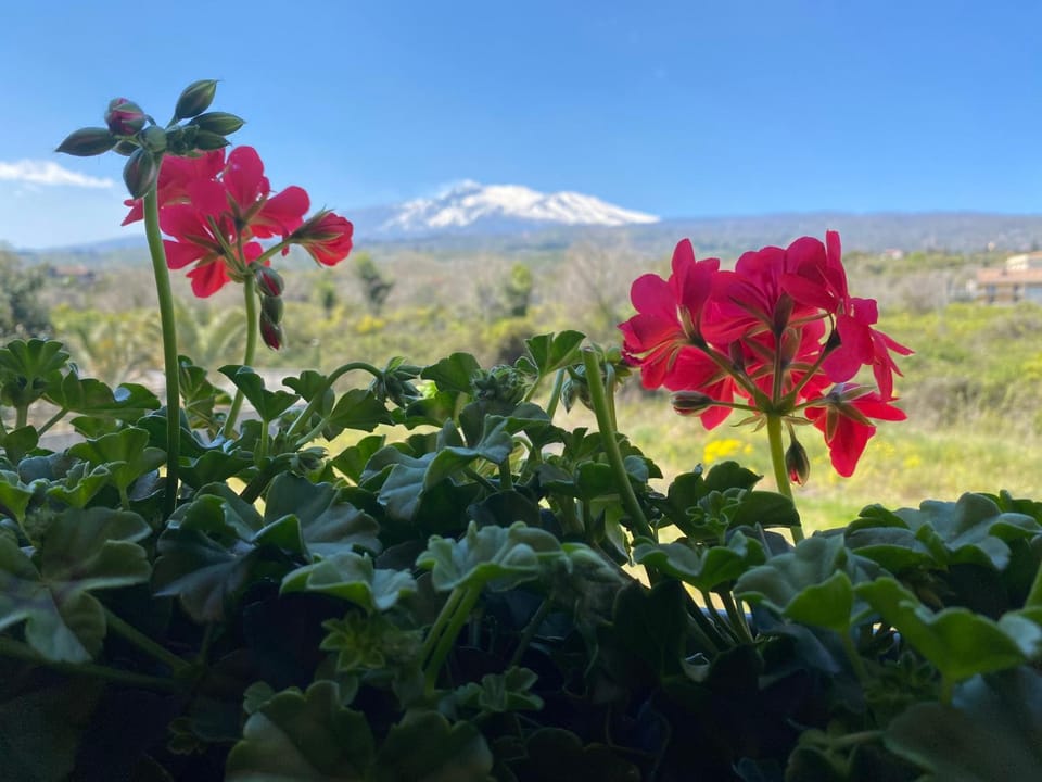 MB Giurati Suites Bed and Breakfast in Mascali