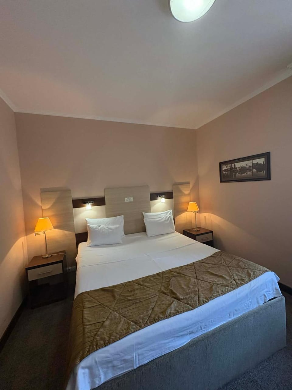Bed, Photo of the whole room, Bedroom