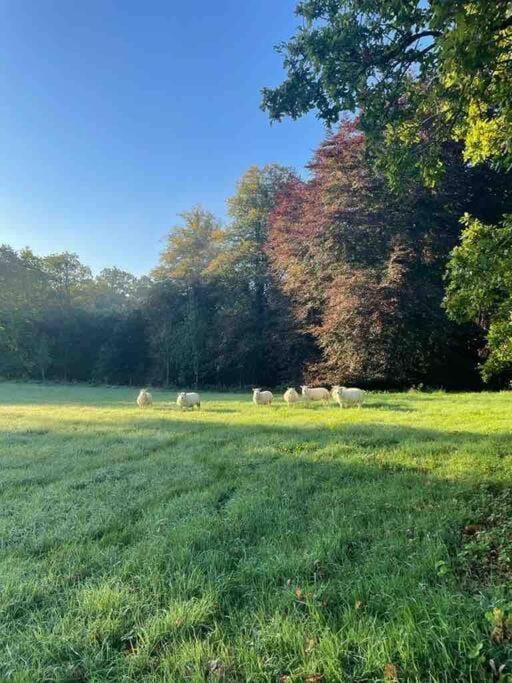 Newly renovated Cottage with private trout fishing set in beautiful wildlife estate House in Northern Ireland