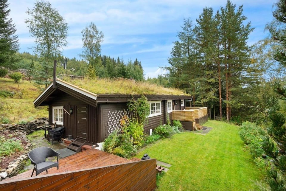 Property building, Day, Garden