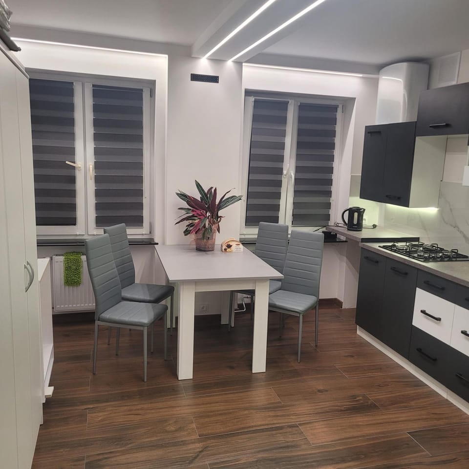 Kitchen or kitchenette, Dining area, minibar, stove