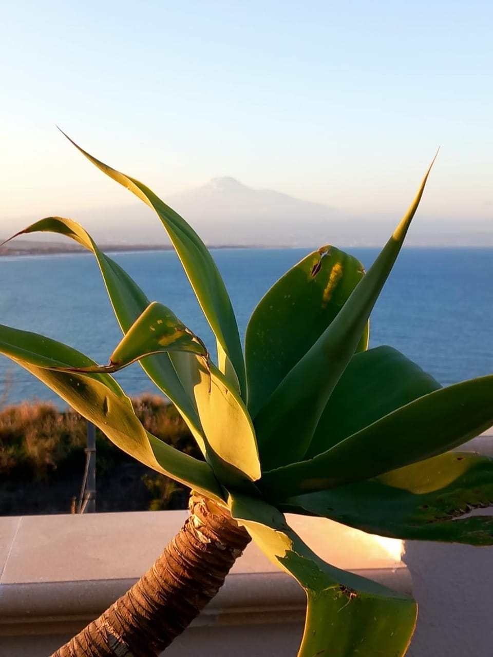 Sea view