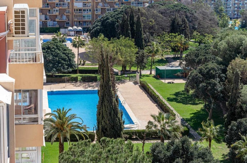 Garden, Garden view, Swimming pool, Swimming pool