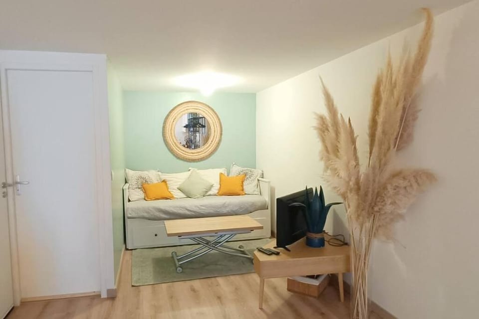Loft en centre ville Apartment in Perpignan