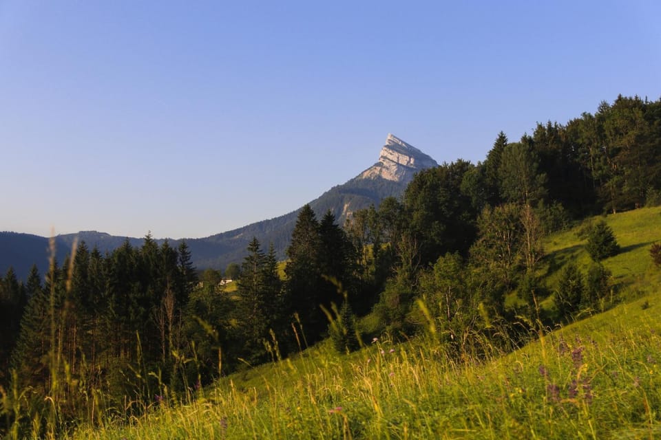 Mountain view
