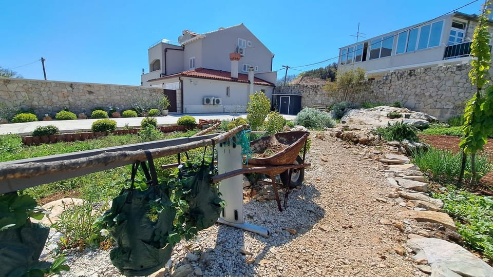 Property building, Spring, Day, Garden, Garden view