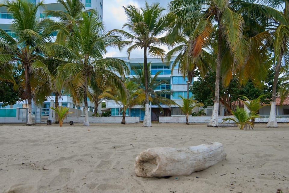 Hermoso Apartamento Frente al Mar 2 Habitaciones C13B Apartment in Sagoc