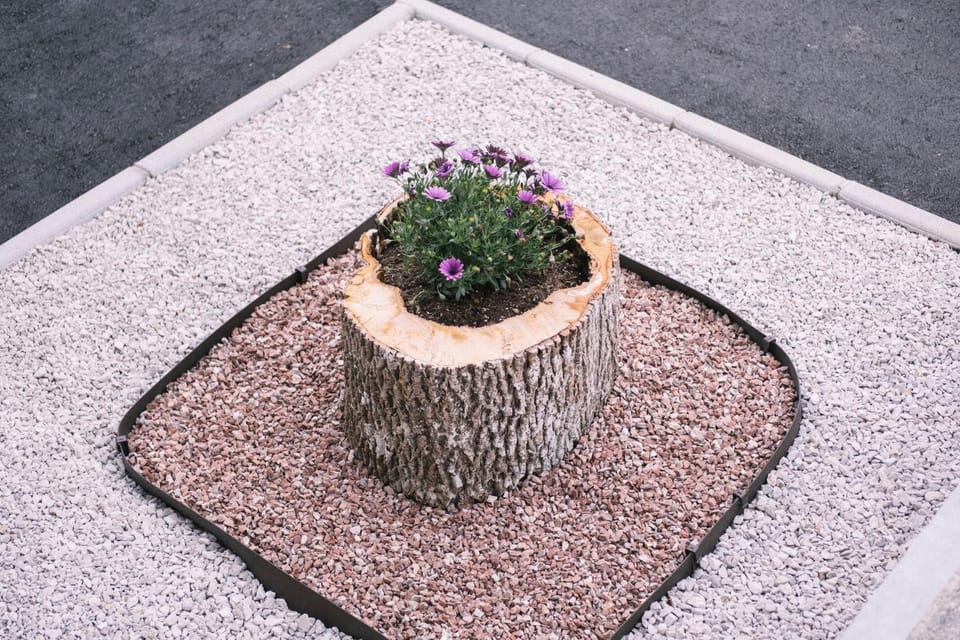 Spring, Day, Garden, Garden view