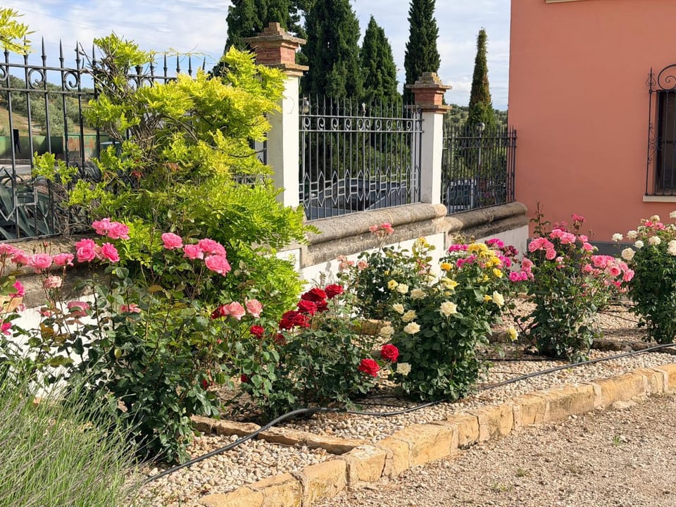 La Almedina: Palacio de Foronda Apartment in Sierra de Cazorla Comarca