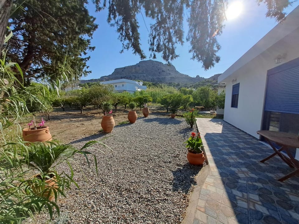 Garden view