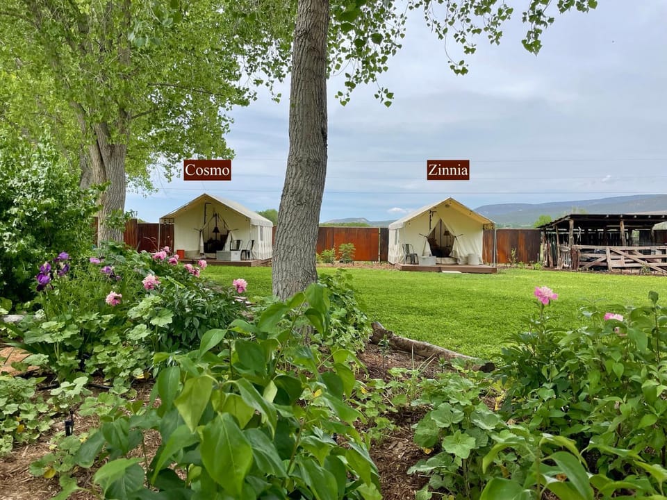 Property building, Natural landscape, Garden