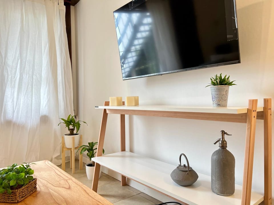 TV and multimedia