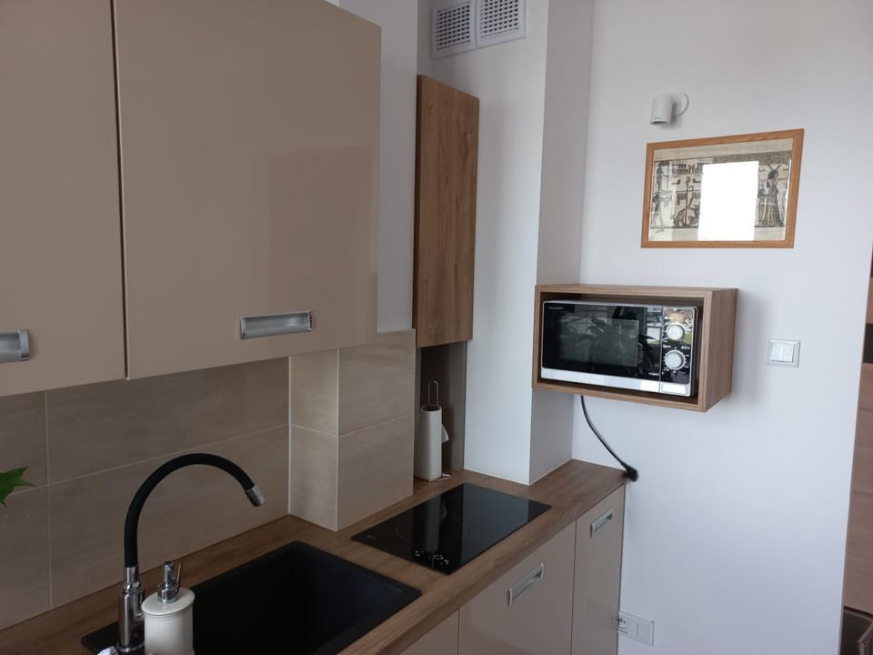 Kitchen or kitchenette, minibar, stove