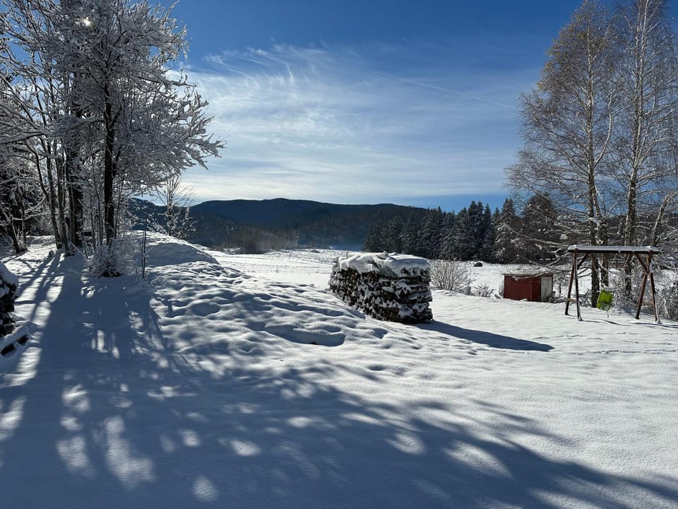 Winter, Garden, Mountain view