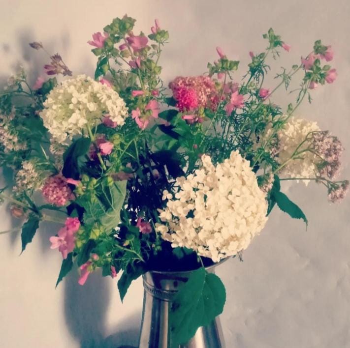 LE LIT DE LA SEMOY Chassepierre Bed and Breakfast in Wallonia, Belgium