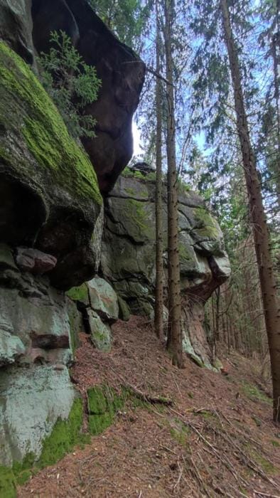 Natural landscape
