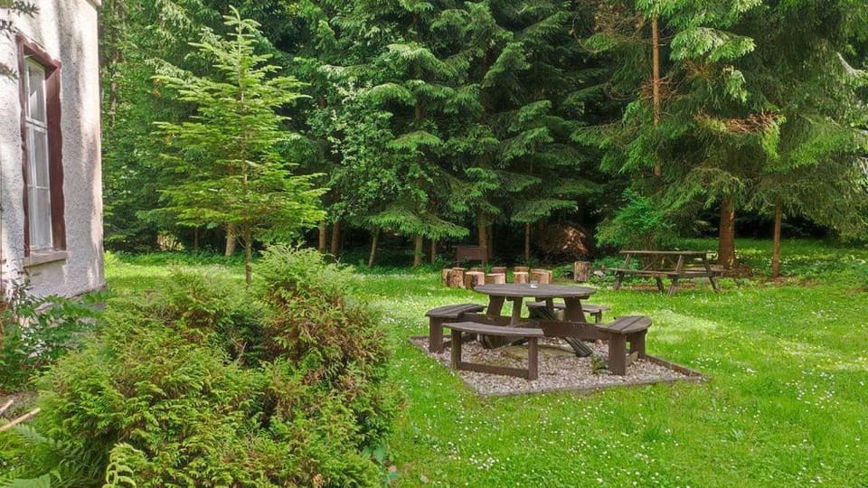 Natural landscape, Garden, Garden view