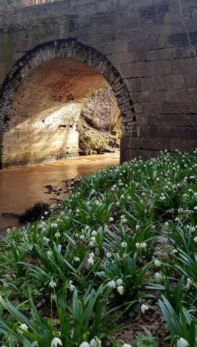 Nearby landmark, Natural landscape, Garden