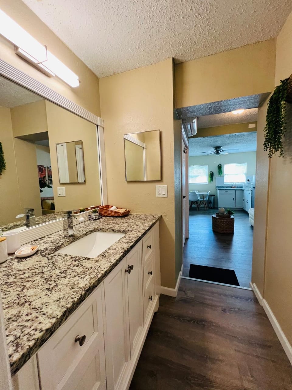 Apartment near TPA Airport Apartment in Tampa