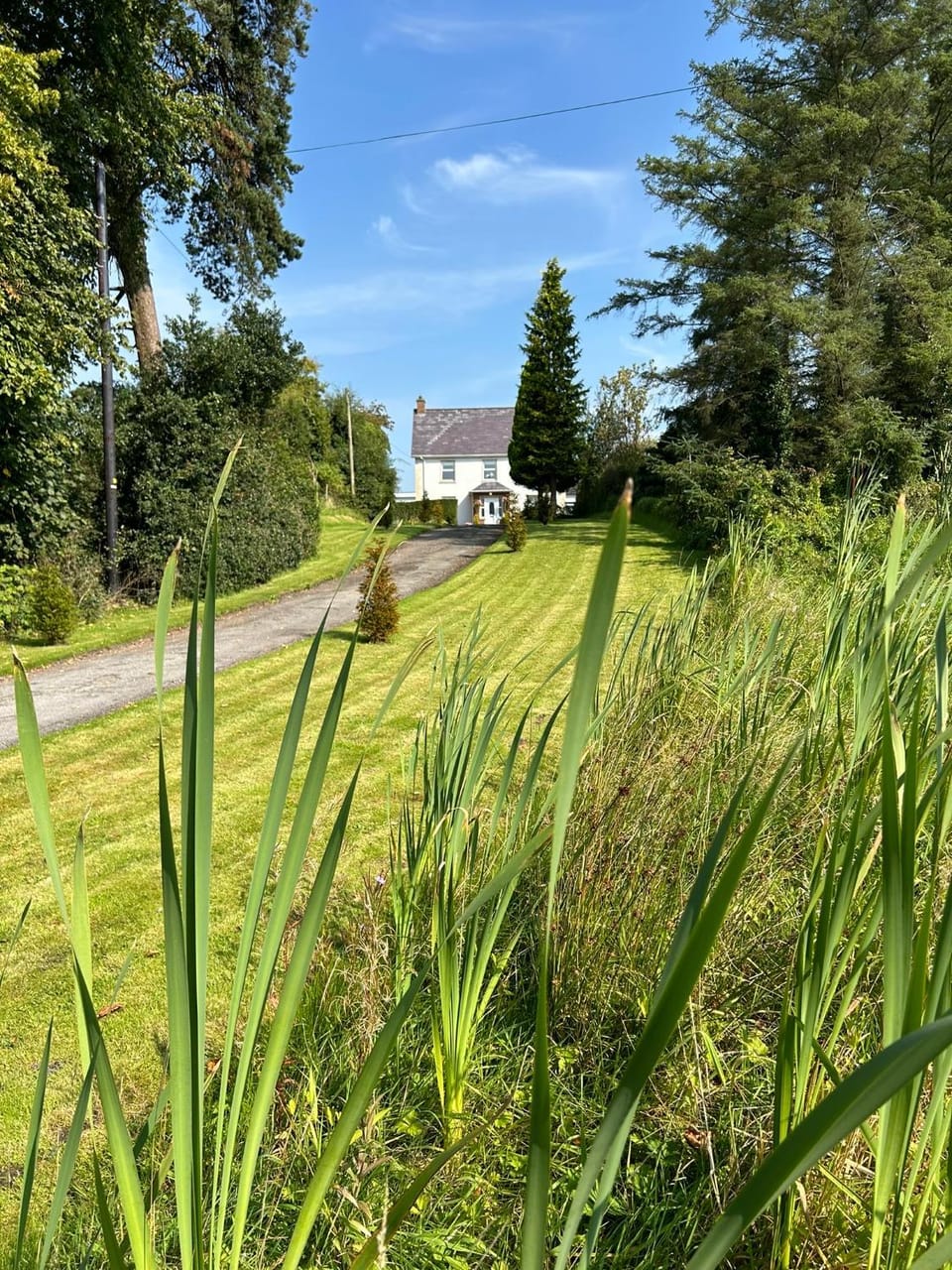 Lime Tree House House in Northern Ireland