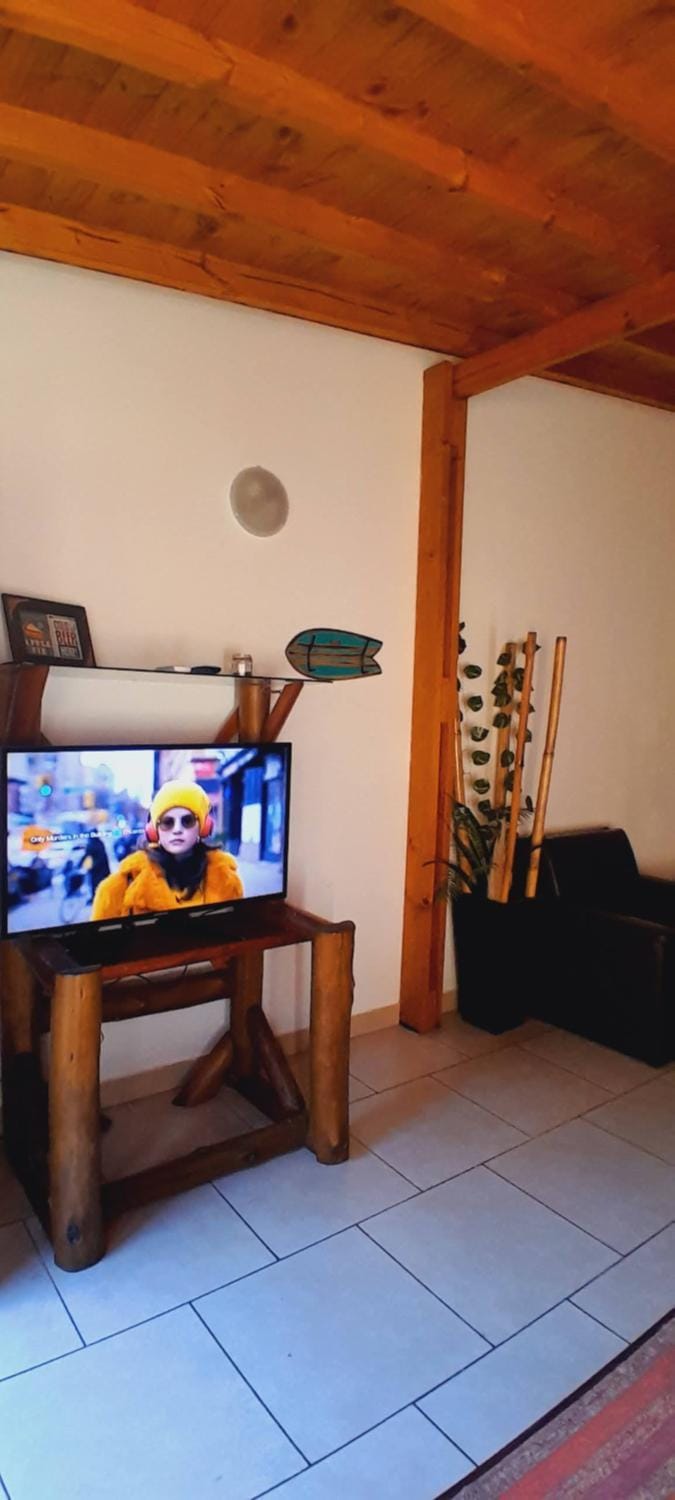 TV and multimedia