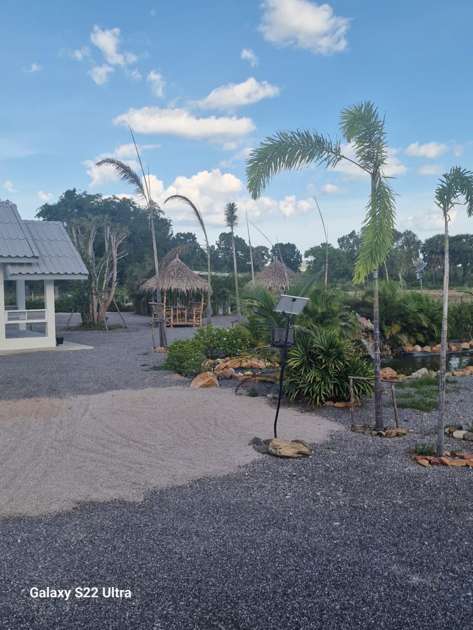 Garden view