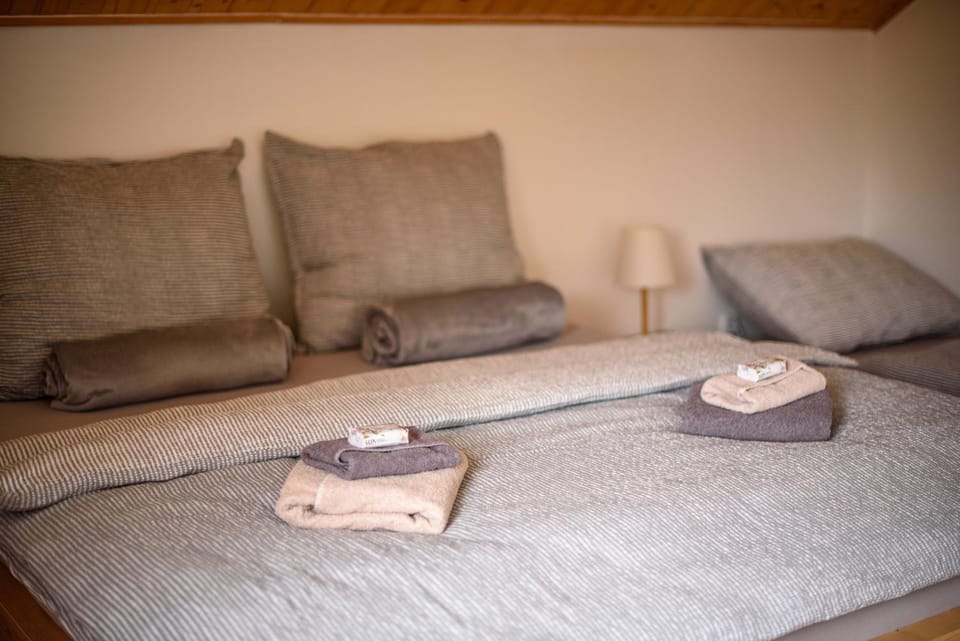 Apartmány Slavíkov - Superior Apartmán Apartment in Czechia